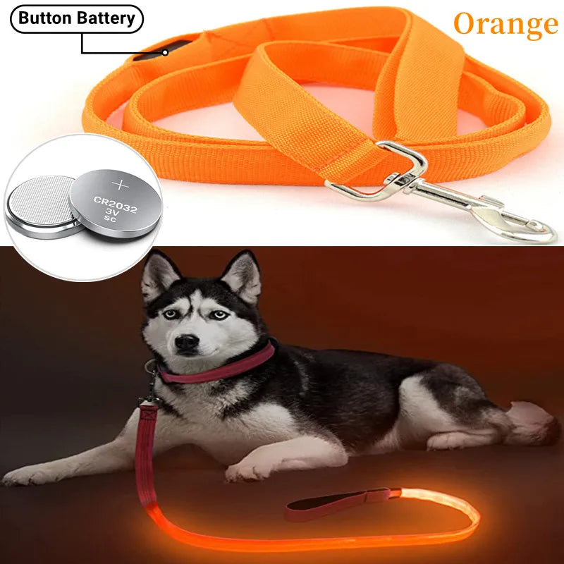 Led Pet Dog Leash Rope With Light Luminous Lead Leash USB Charging