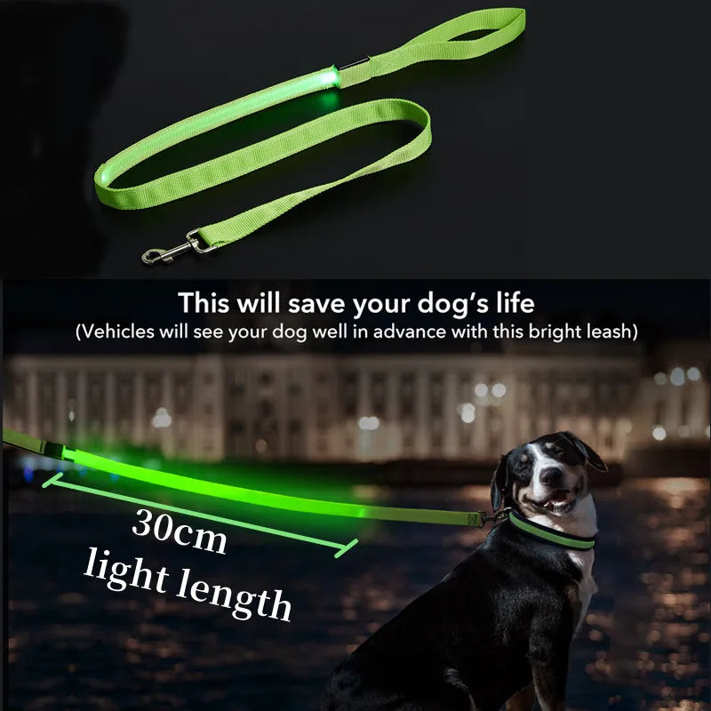 Led Pet Dog Leash Rope With Light Luminous  Lead Leash USB Charging