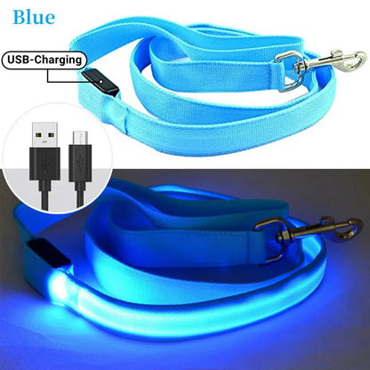 Led Pet Dog Leash Rope With Light Luminous  Lead Leash USB Charging