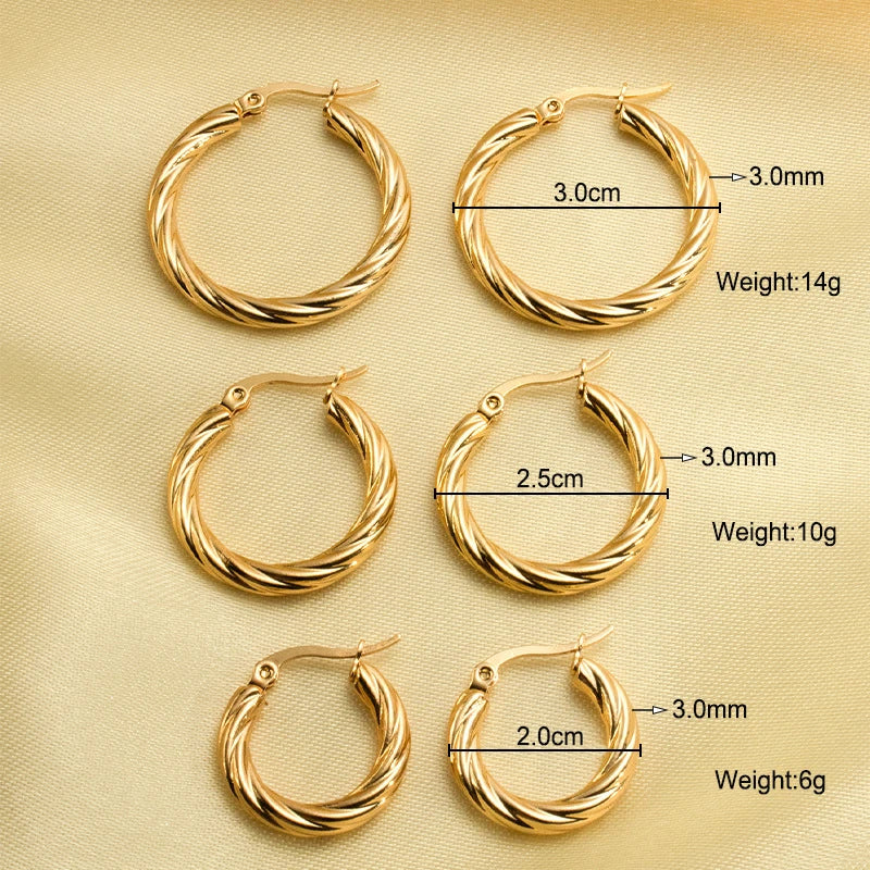 Classic Trendy Twisted Round Hoop Earrings For Women