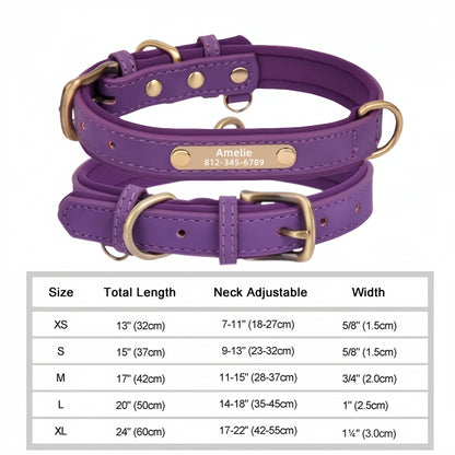 Personalized Customized Leather ID Nameplate Dog Collar Soft Padded Dogs