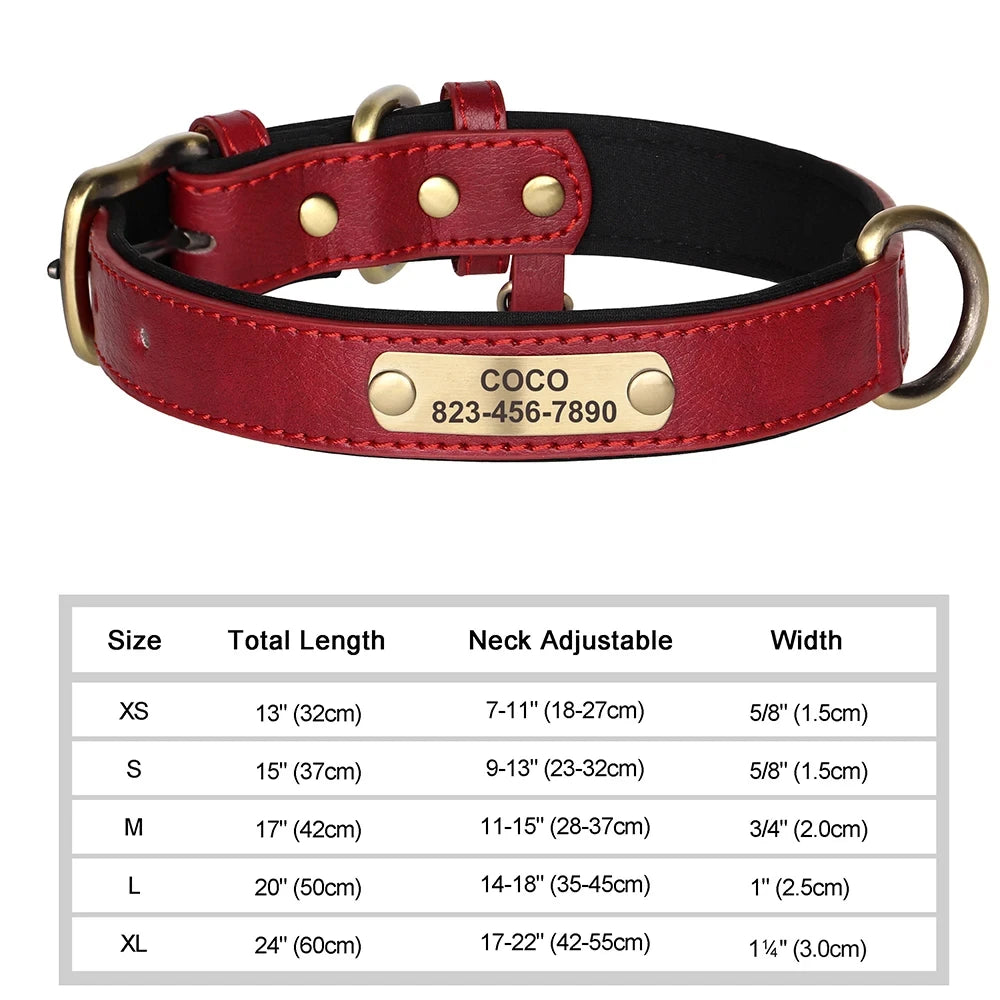 Personalized Customized Leather ID Nameplate Dog Collar Soft Padded Dogs