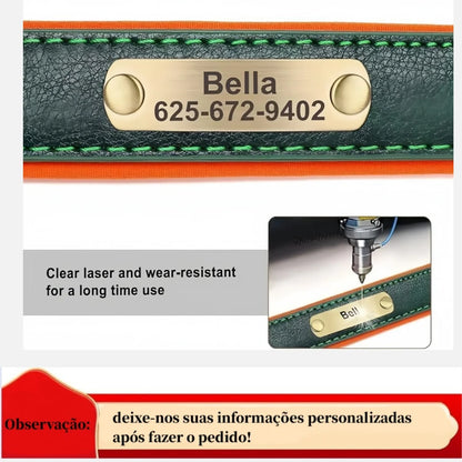 Personalized Customized Leather ID Nameplate Dog Collar Soft Padded Dogs