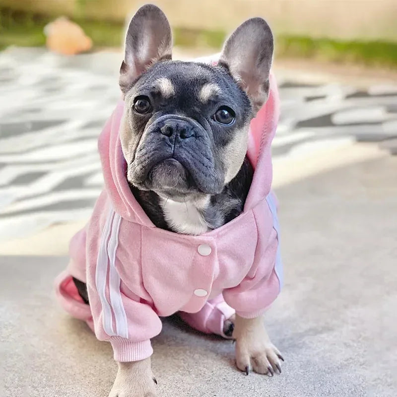 Pet Clothes French Bulldog Puppy Dog Costume Dogs Clothing