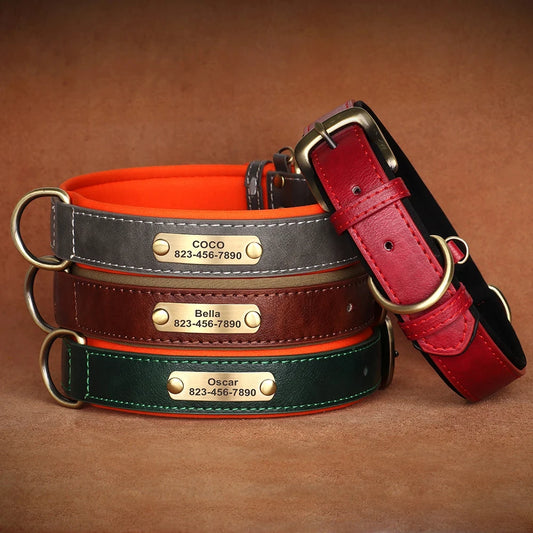 Personalized Customized Leather ID Nameplate Dog Collar Soft Padded Dogs