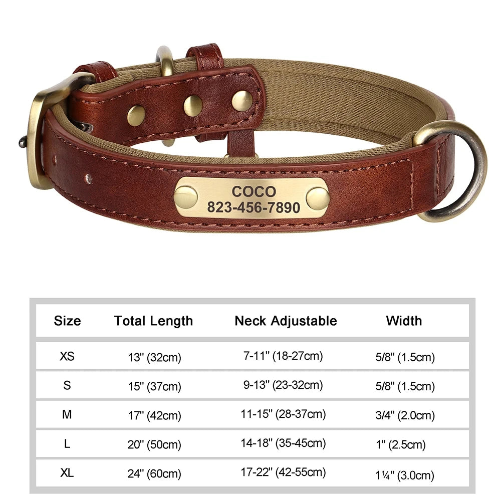 Personalized Customized Leather ID Nameplate Dog Collar Soft Padded Dogs