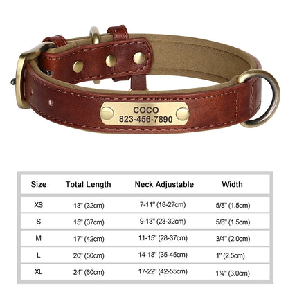 Personalized Customized Leather ID Nameplate Dog Collar Soft Padded Dogs