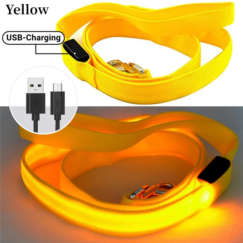 Led Pet Dog Leash Rope With Light Luminous  Lead Leash USB Charging