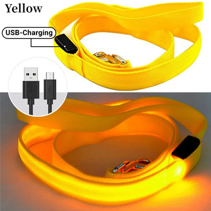 Led Pet Dog Leash Rope With Light Luminous  Lead Leash USB Charging