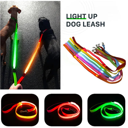 Led Pet Dog Leash Rope With Light Luminous  Lead Leash USB Charging