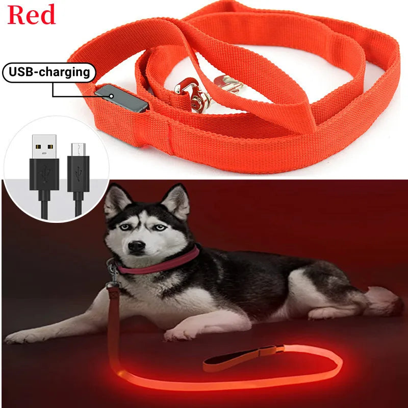 Led Pet Dog Leash Rope With Light Luminous  Lead Leash USB Charging