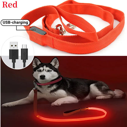 Led Pet Dog Leash Rope With Light Luminous  Lead Leash USB Charging