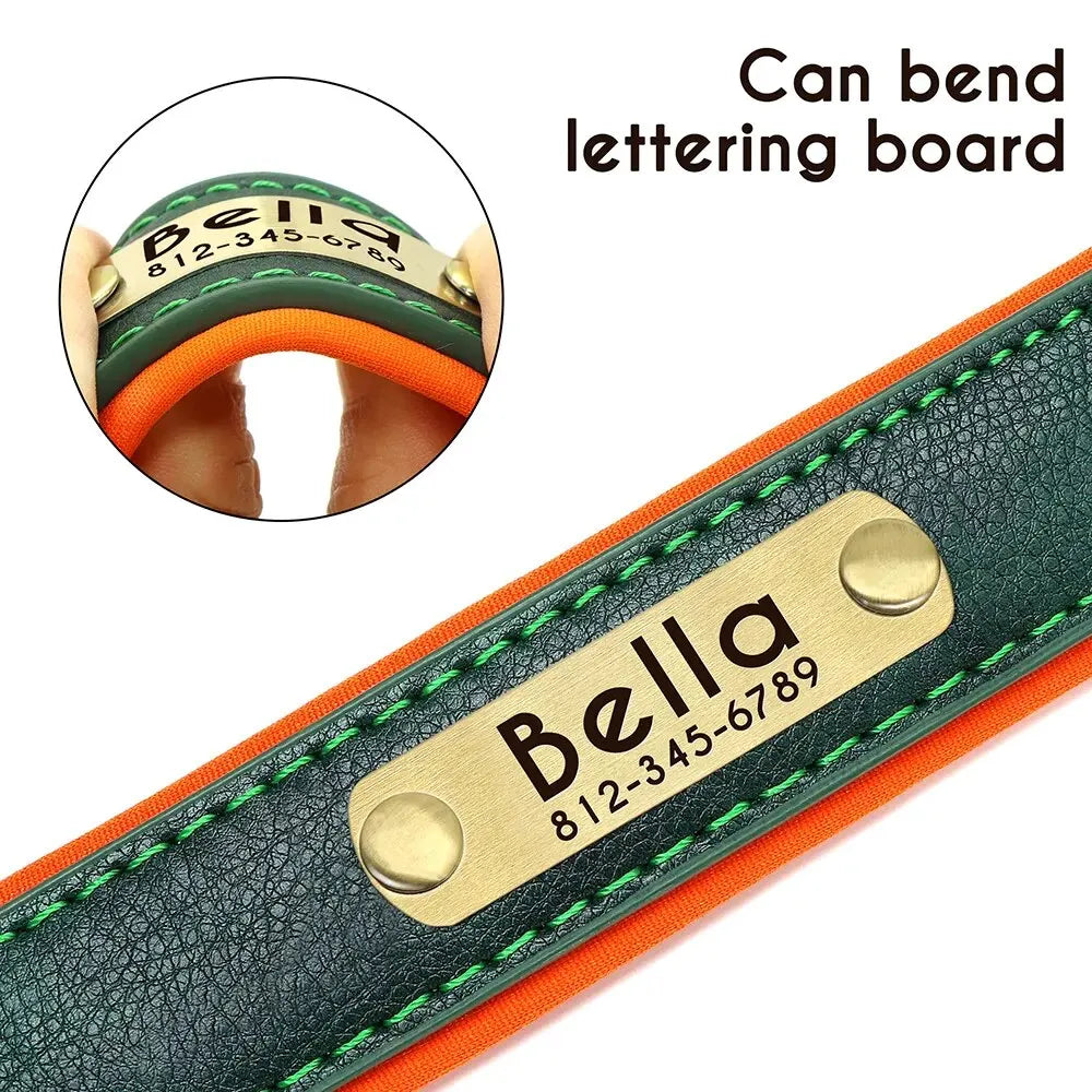 Personalized Customized Leather ID Nameplate Dog Collar Soft Padded Dogs