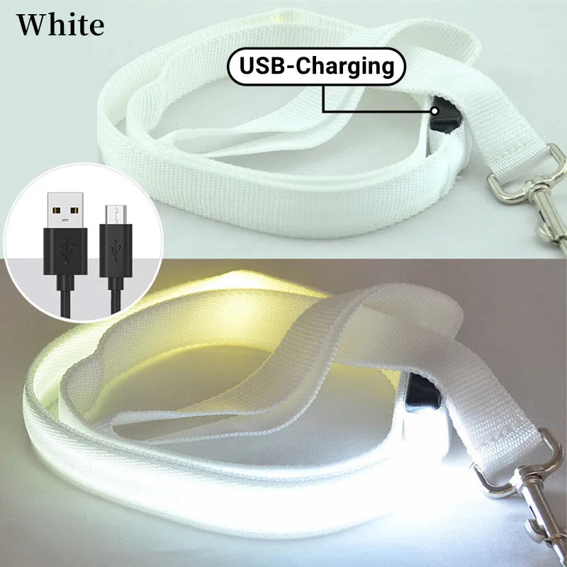 Led Pet Dog Leash Rope With Light Luminous  Lead Leash USB Charging