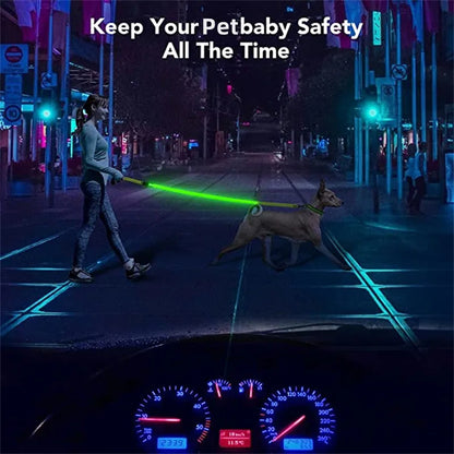 Led Pet Dog Leash Rope With Light Luminous  Lead Leash USB Charging