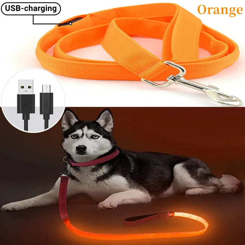 Led Pet Dog Leash Rope With Light Luminous  Lead Leash USB Charging