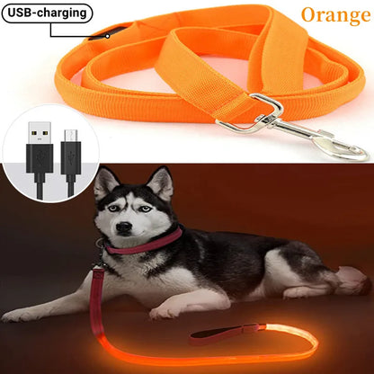 Led Pet Dog Leash Rope With Light Luminous  Lead Leash USB Charging
