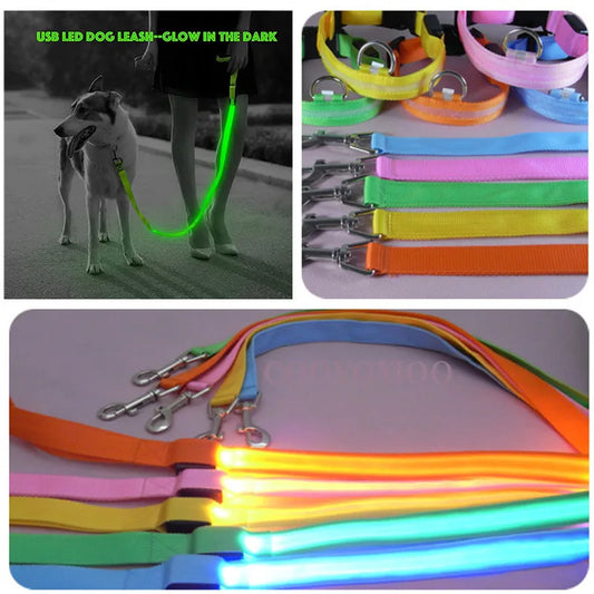 Led Pet Dog Leash Rope With Light Luminous  Lead Leash USB Charging