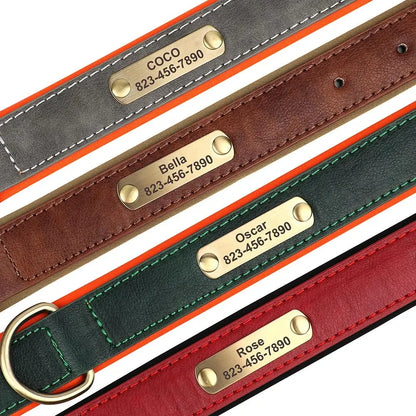 Personalized Customized Leather ID Nameplate Dog Collar Soft Padded Dogs