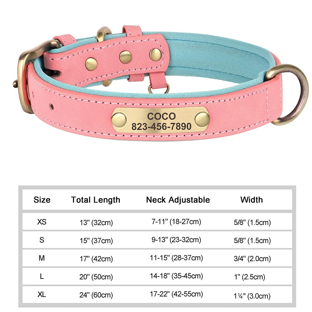 Personalized Customized Leather ID Nameplate Dog Collar Soft Padded Dogs